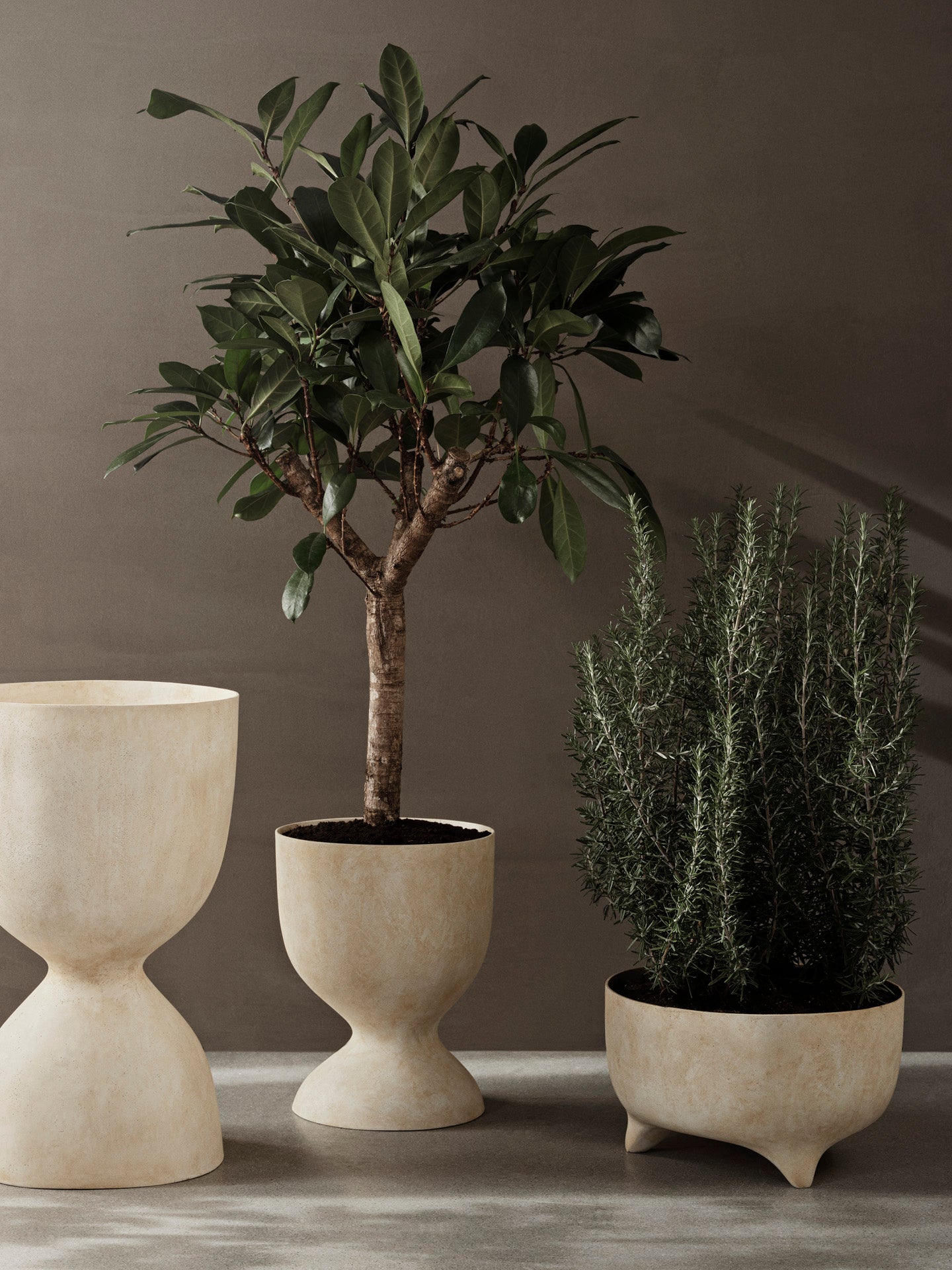 Evoke Pot - Tall