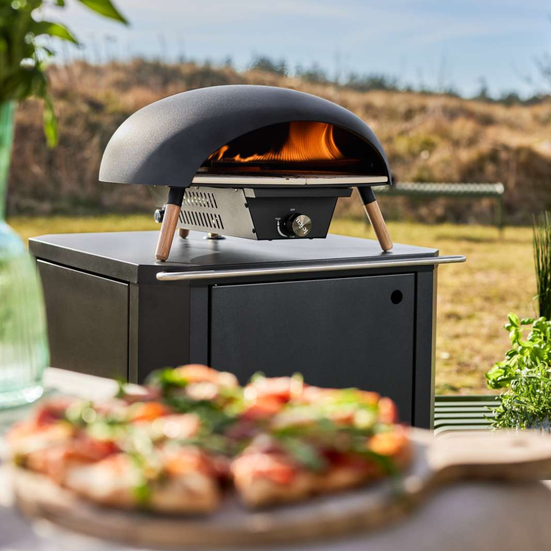 Turtle Pizza Oven