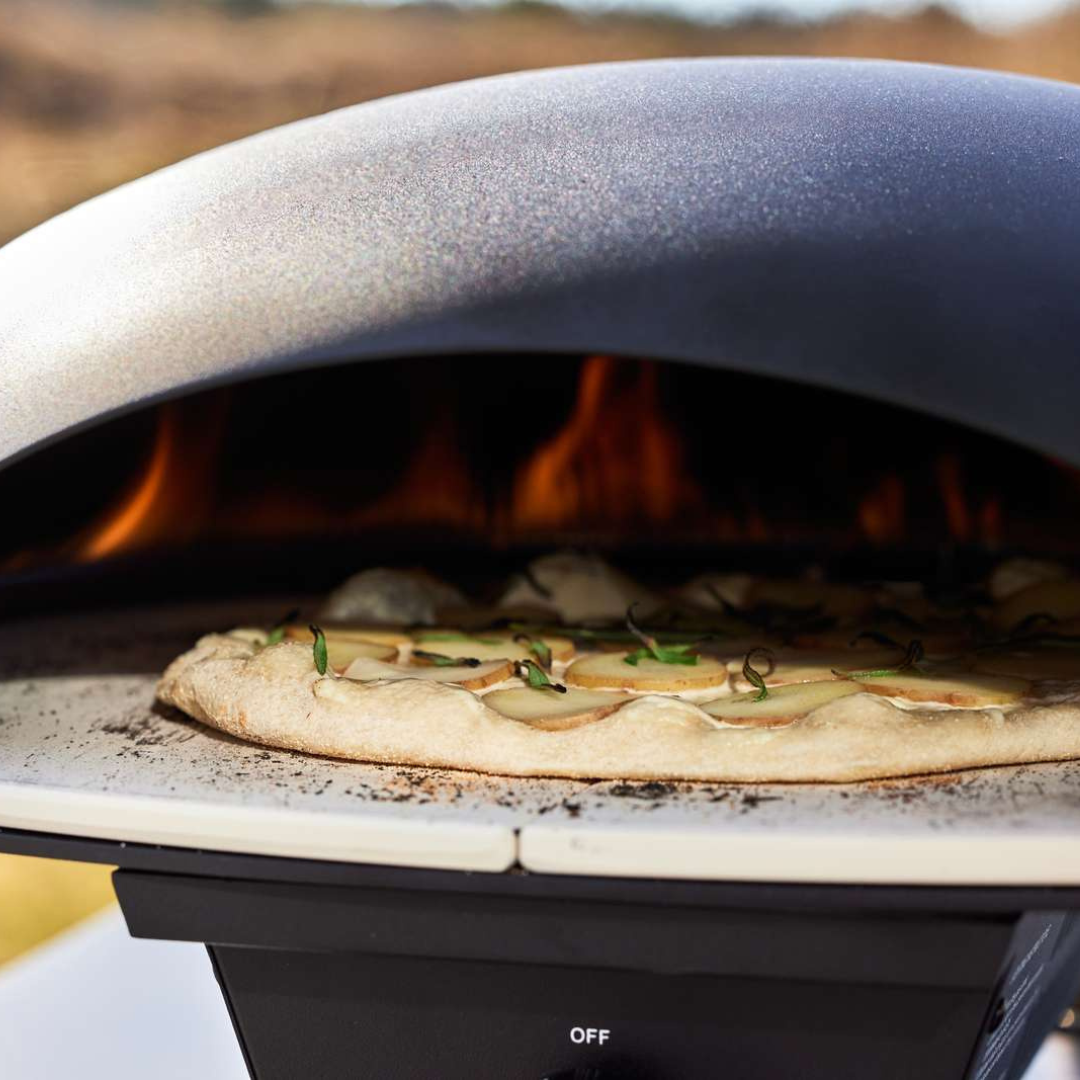 Turtle Pizza Oven