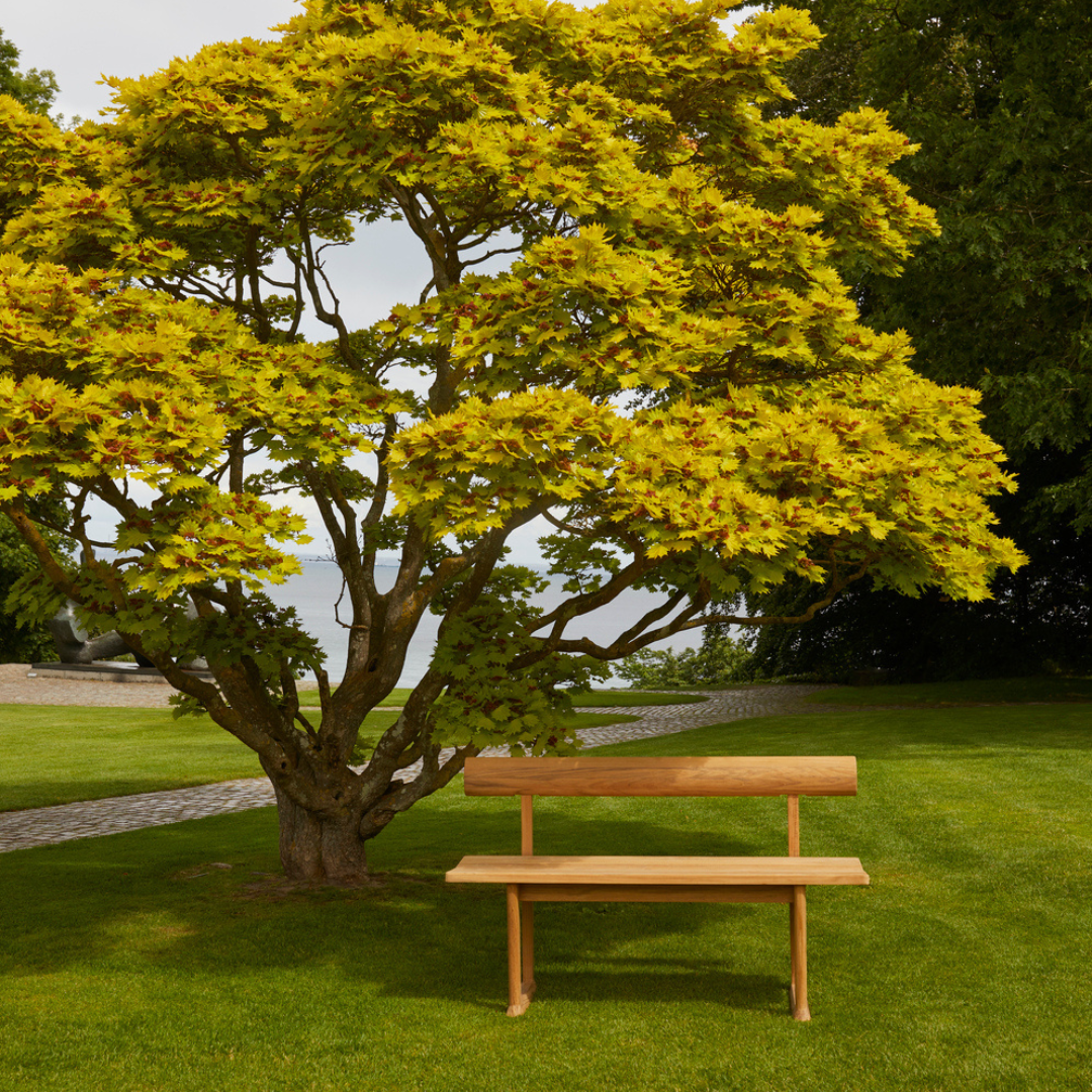 Banco Bench