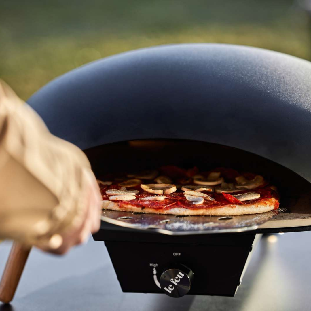 Turtle Pizza Oven