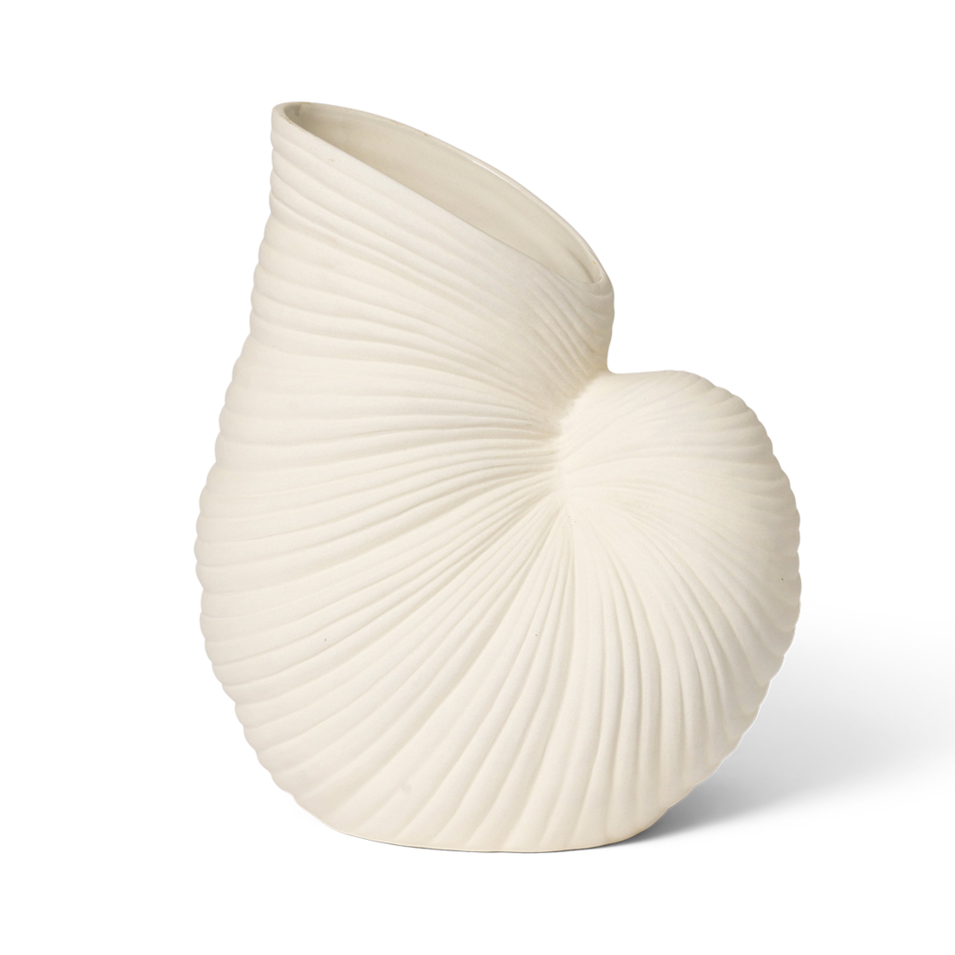 Shell Vase