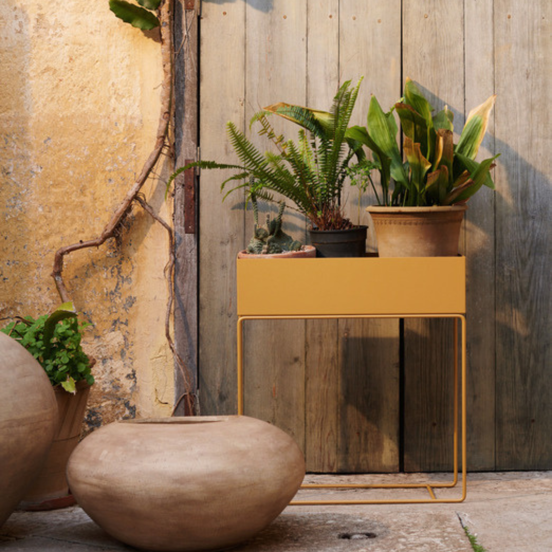 Plant Box - Batten Home