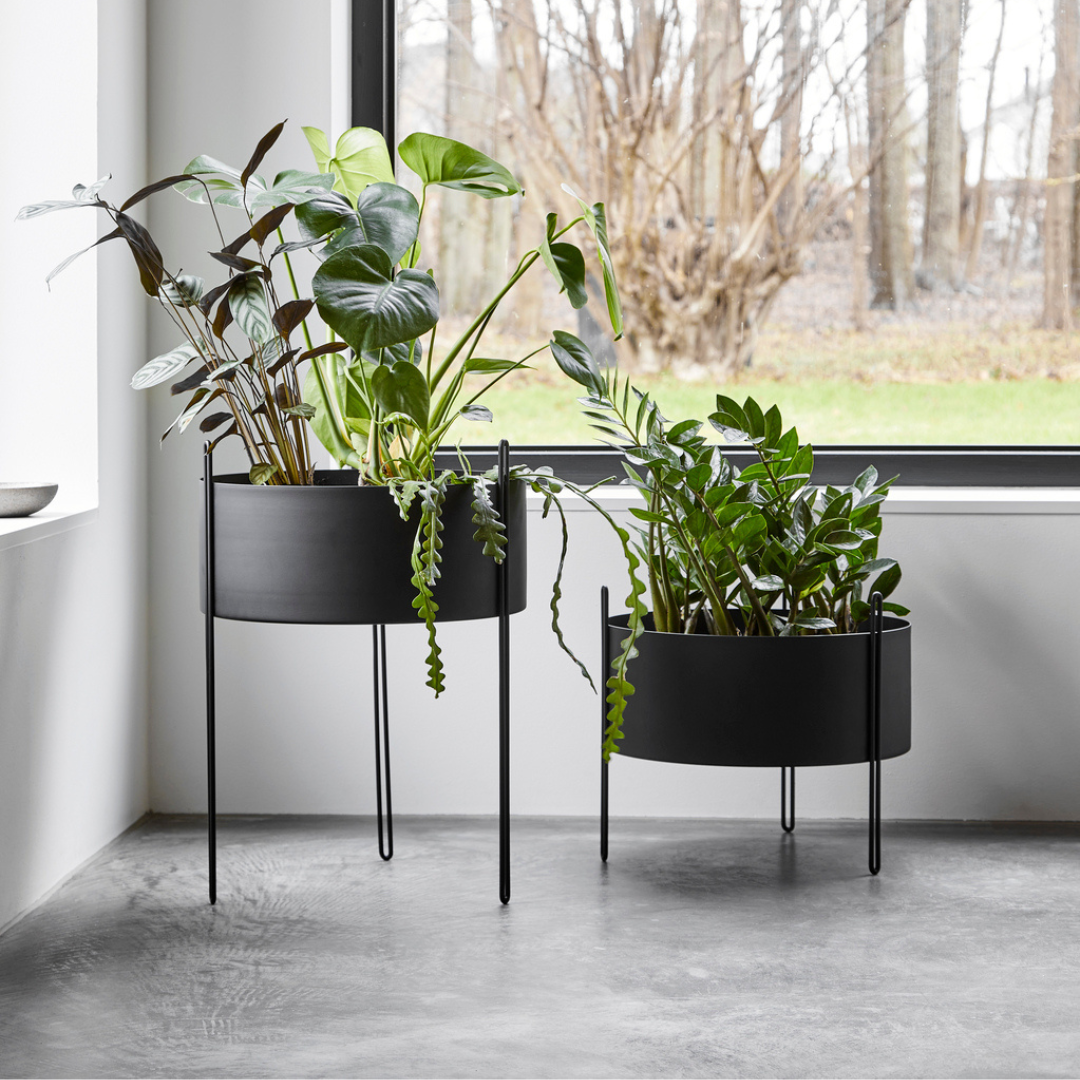 Pidestall Planter