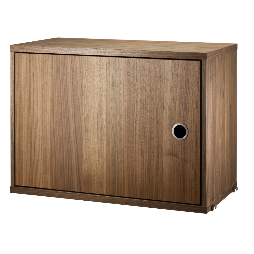 Cabinet with Swing Door