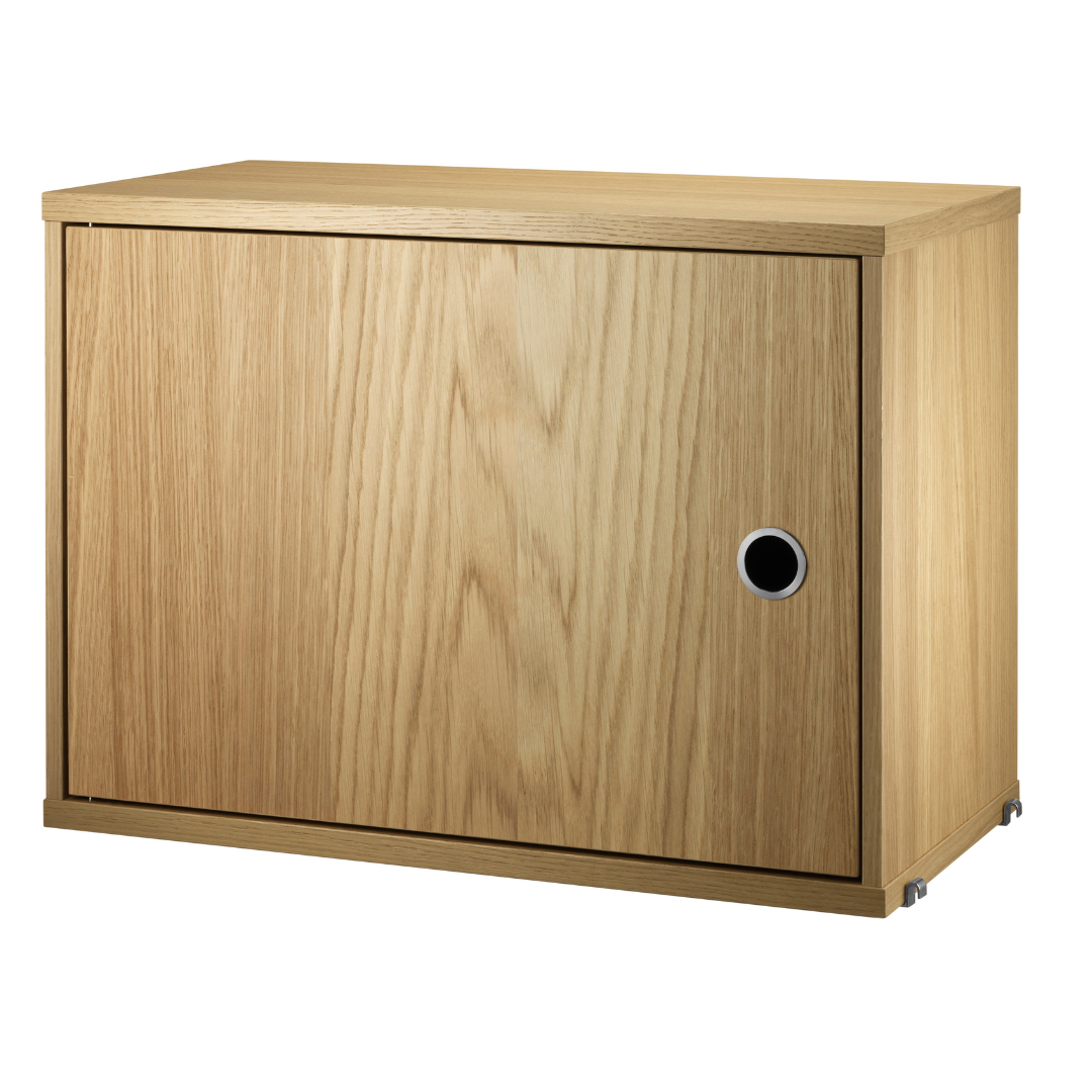 Cabinet with Swing Door