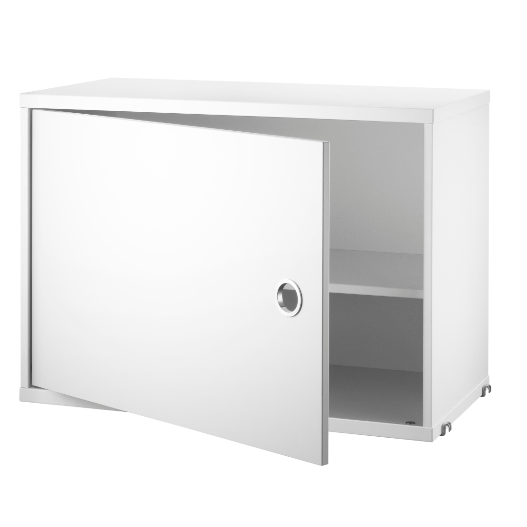 Cabinet with Swing Door