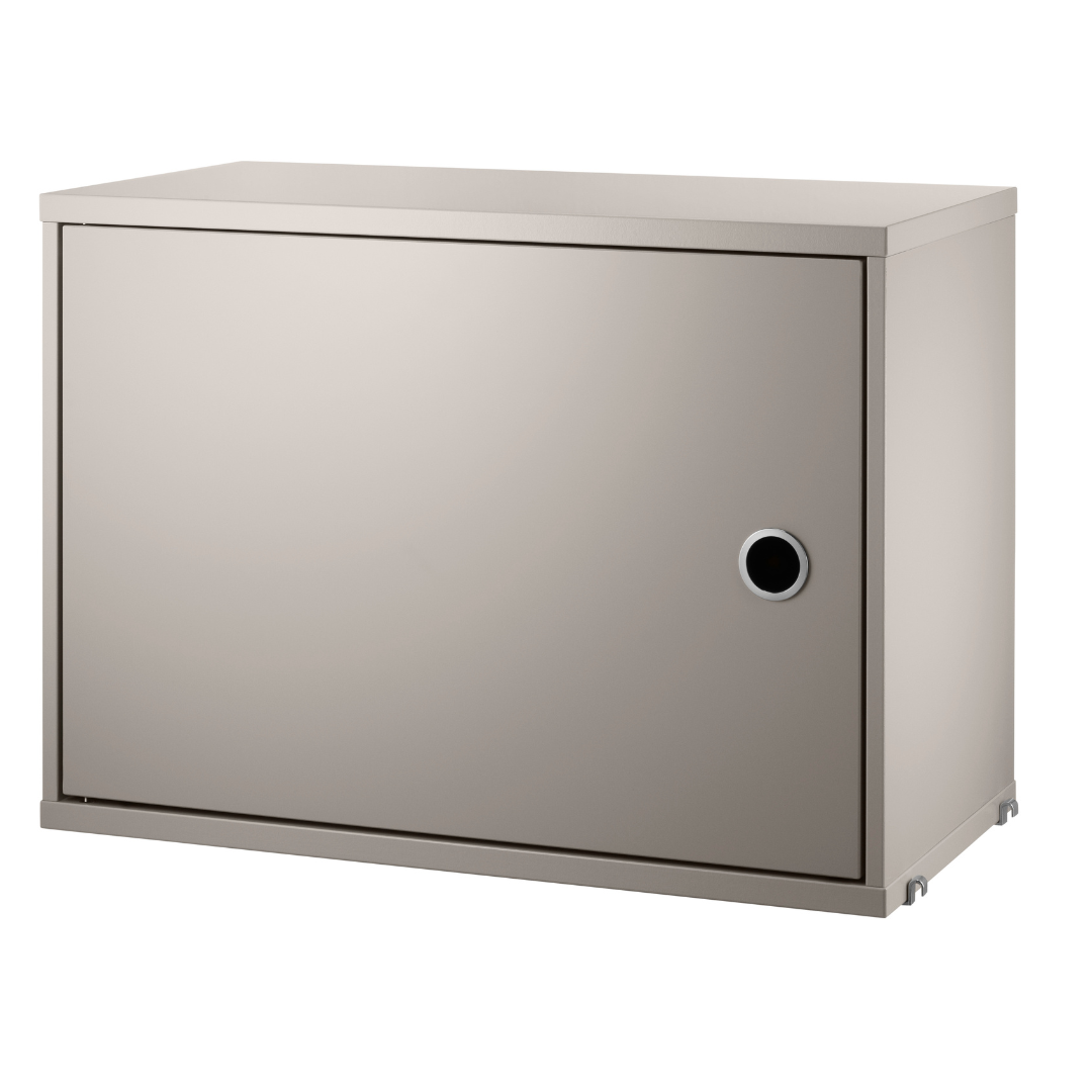 Cabinet with Swing Door