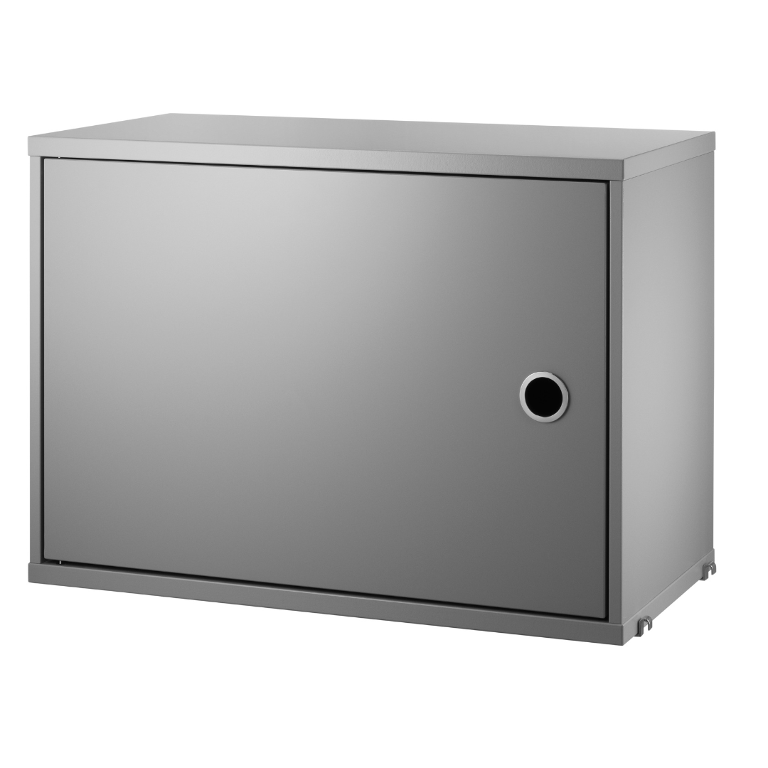 Cabinet with Swing Door